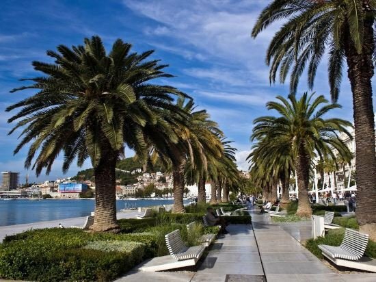 Апартаменты Apartment Pauk Split в Сплите
