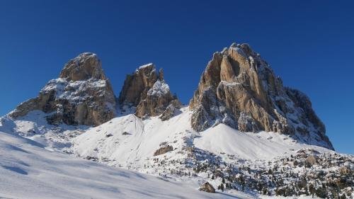 Фото Apartment Hotel Elvis