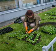 Urban improvement Agropark, Moscow, photo