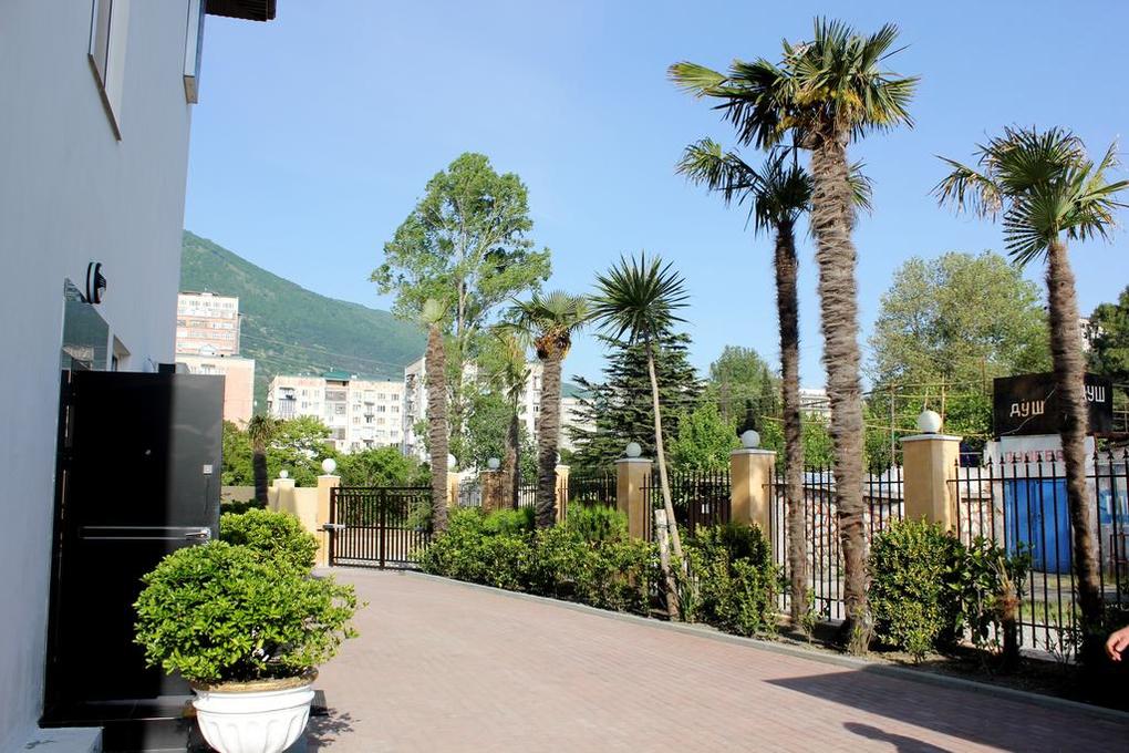 Фото Орхидея