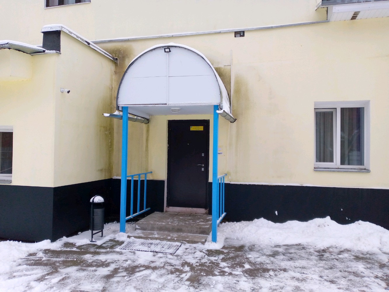 Фото Ленивый жираф