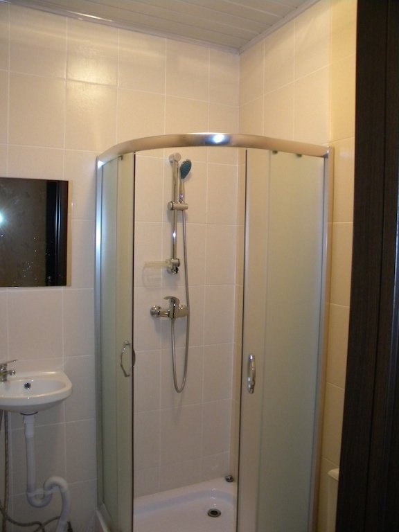 Фото Базилик 