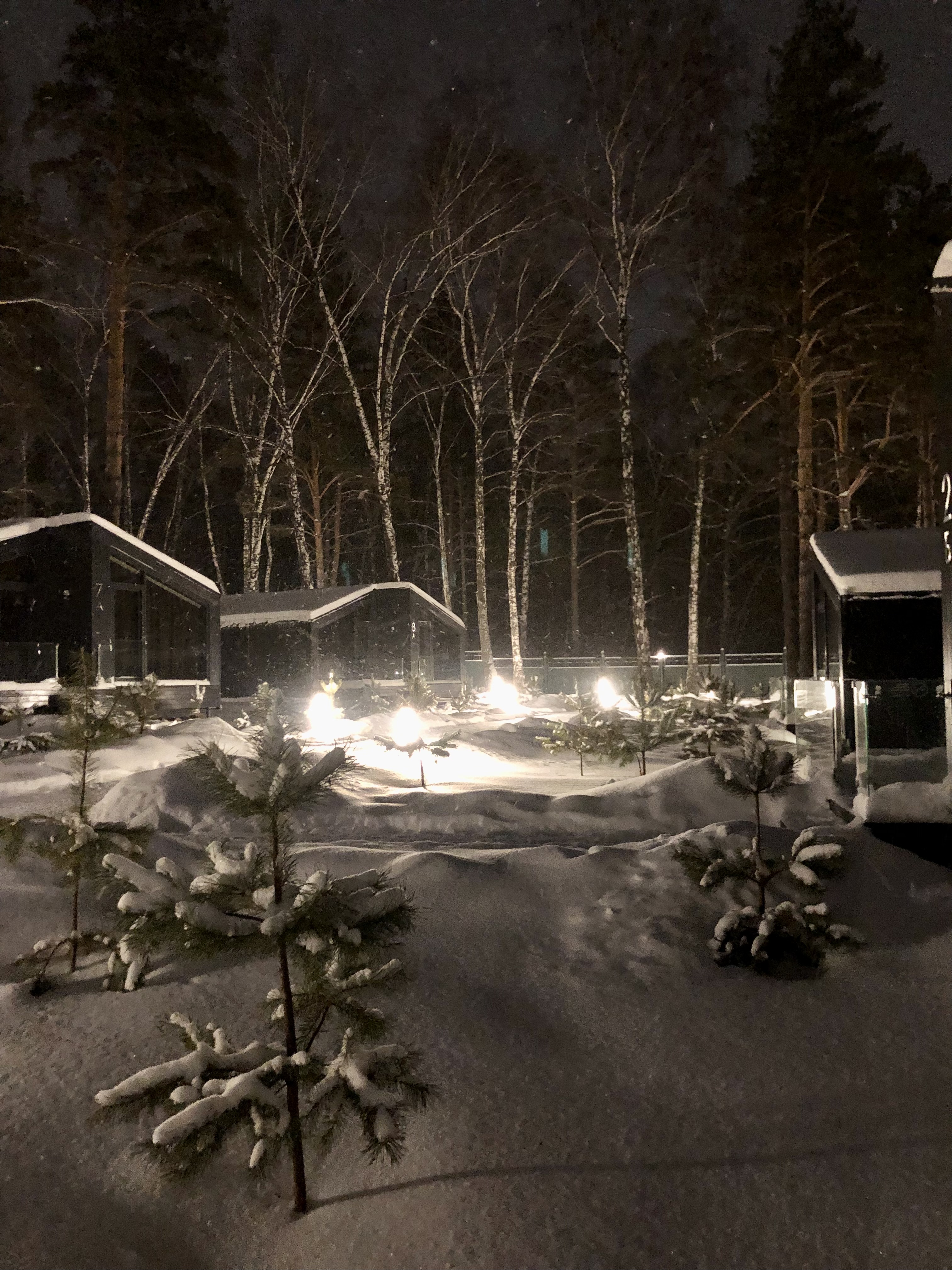 Фото Сосновый бор