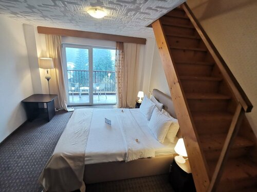 Гостиница Atrium Hotel Mountain View Predeal