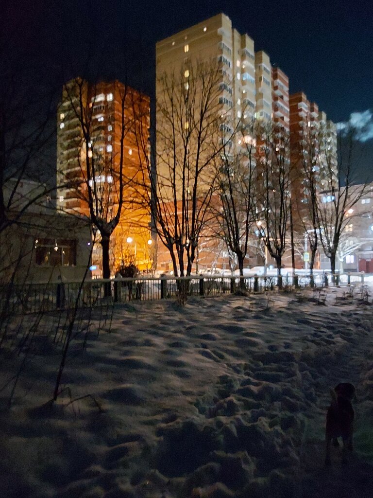 Товарищество собственников недвижимости Аэроклубная, Ногинск, фото