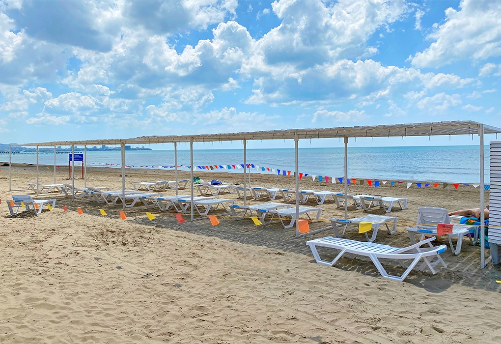 Фото Дублин Дельфин