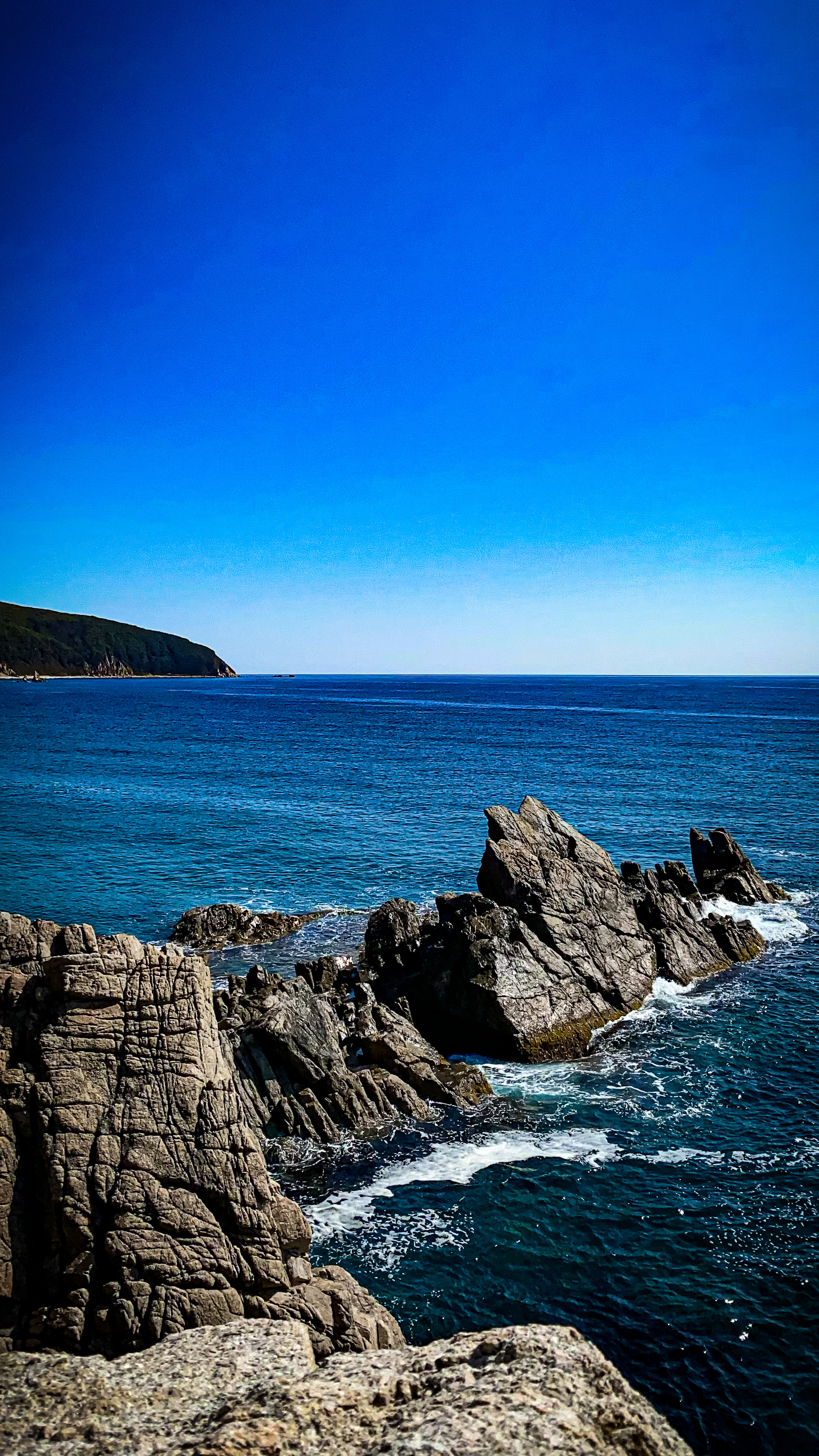 Фото Чинтамани