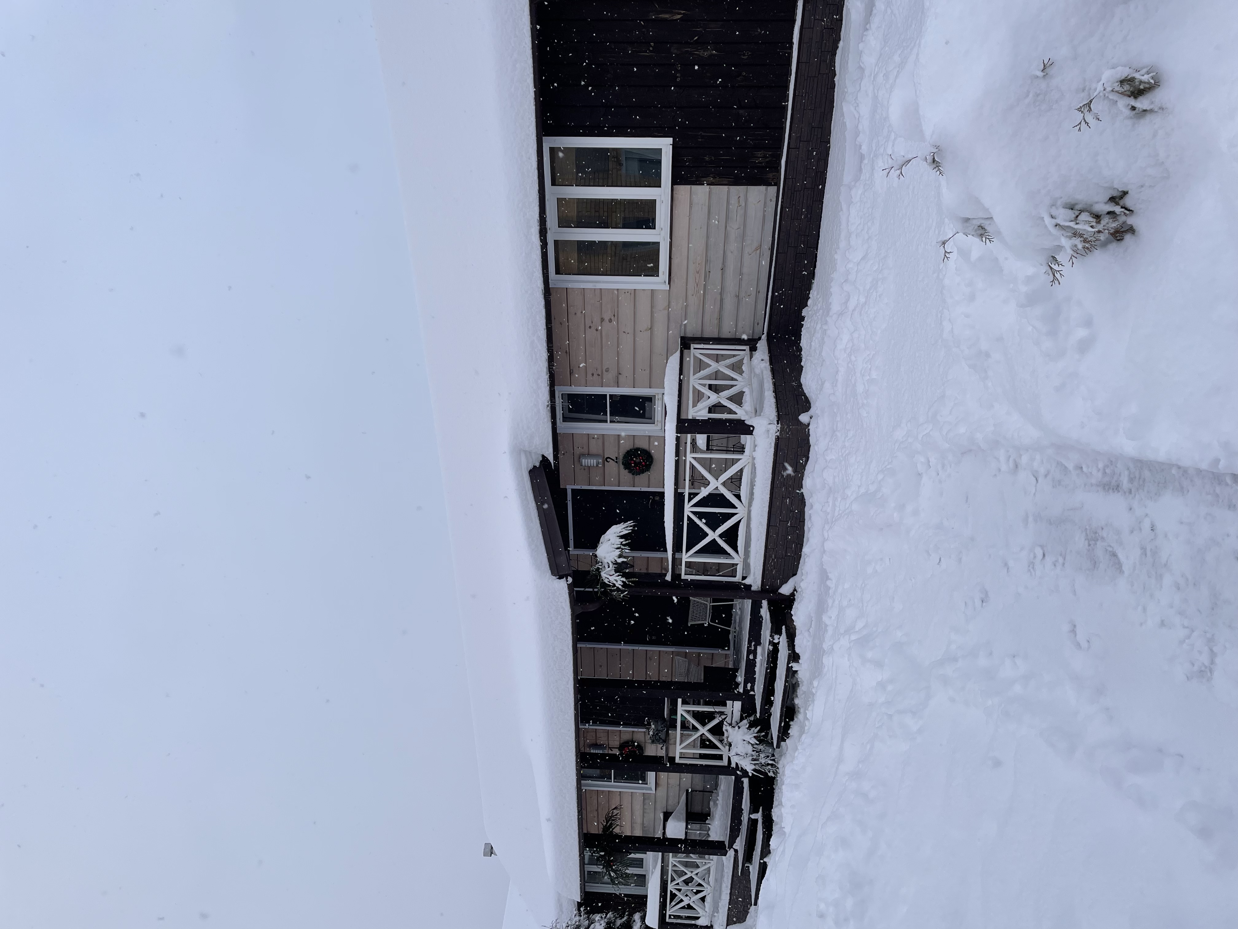 Фото Берлога