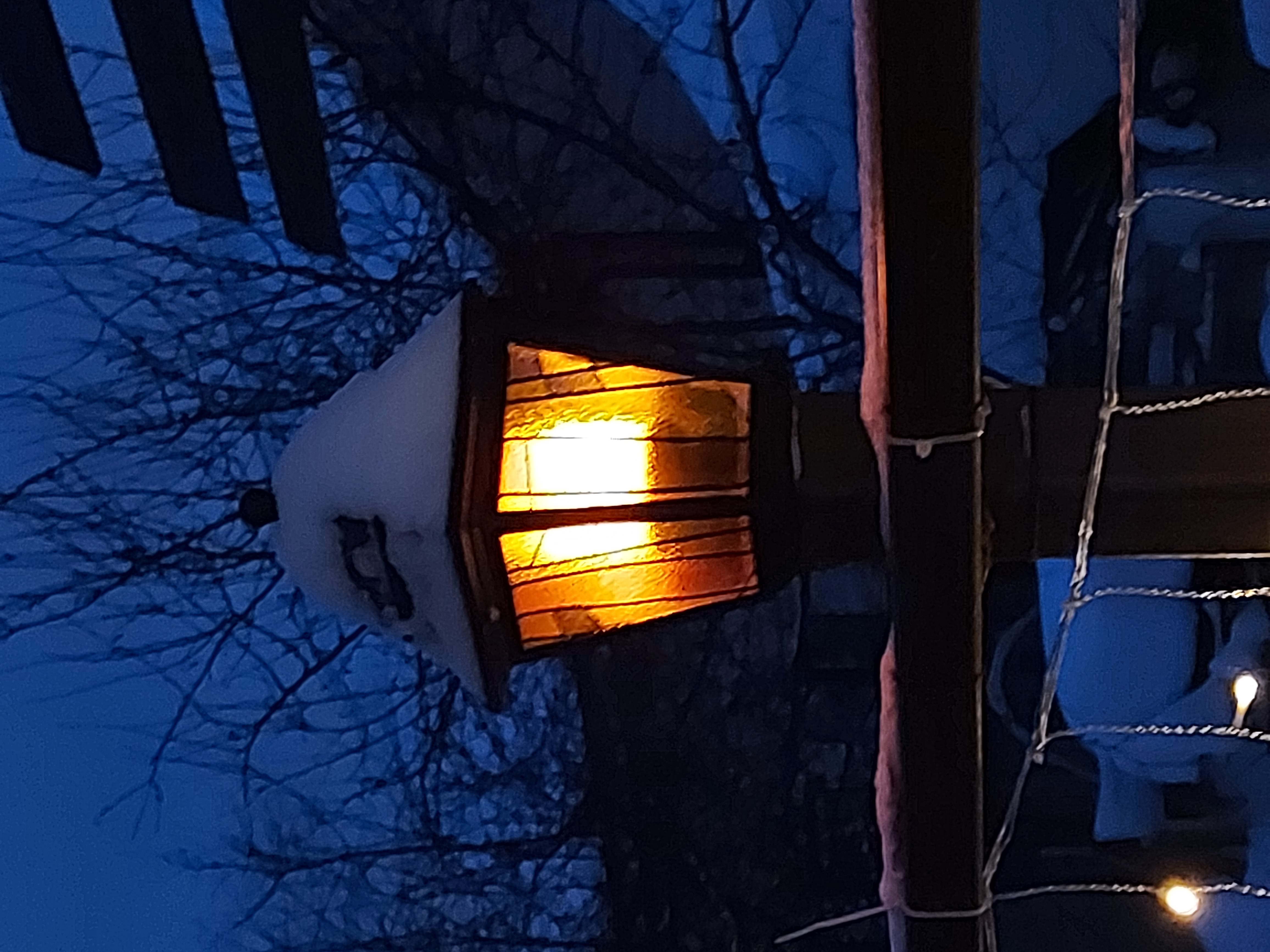 Фото Апельсин во Внуково