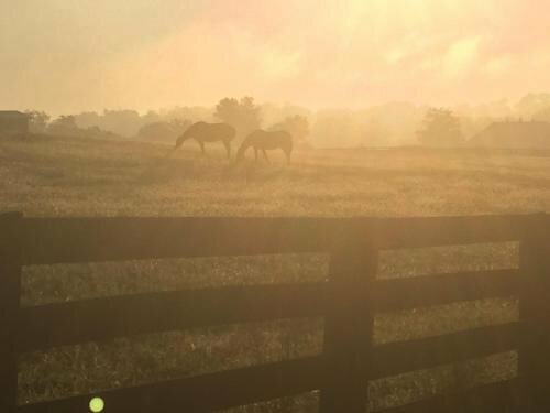 Hotel The B & B at Queenslake, Commonwealth of Kentucky, photo