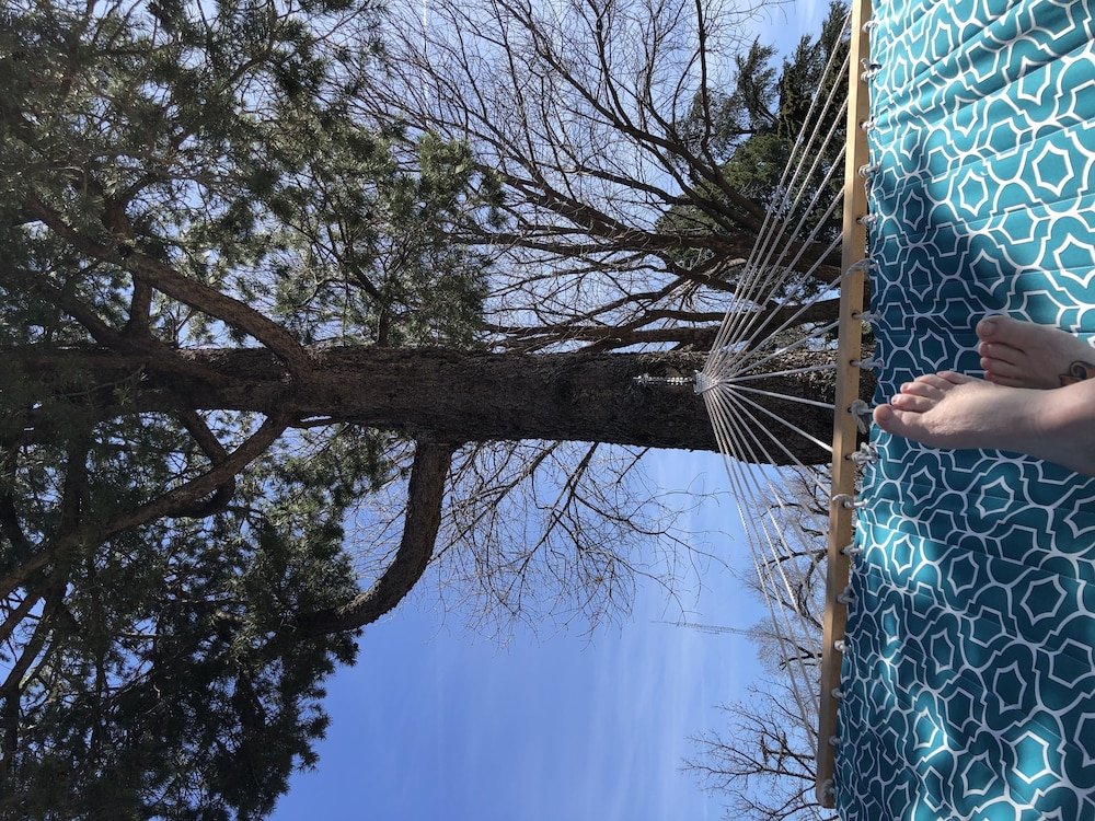 Фото Alpine Bed and Breakfast