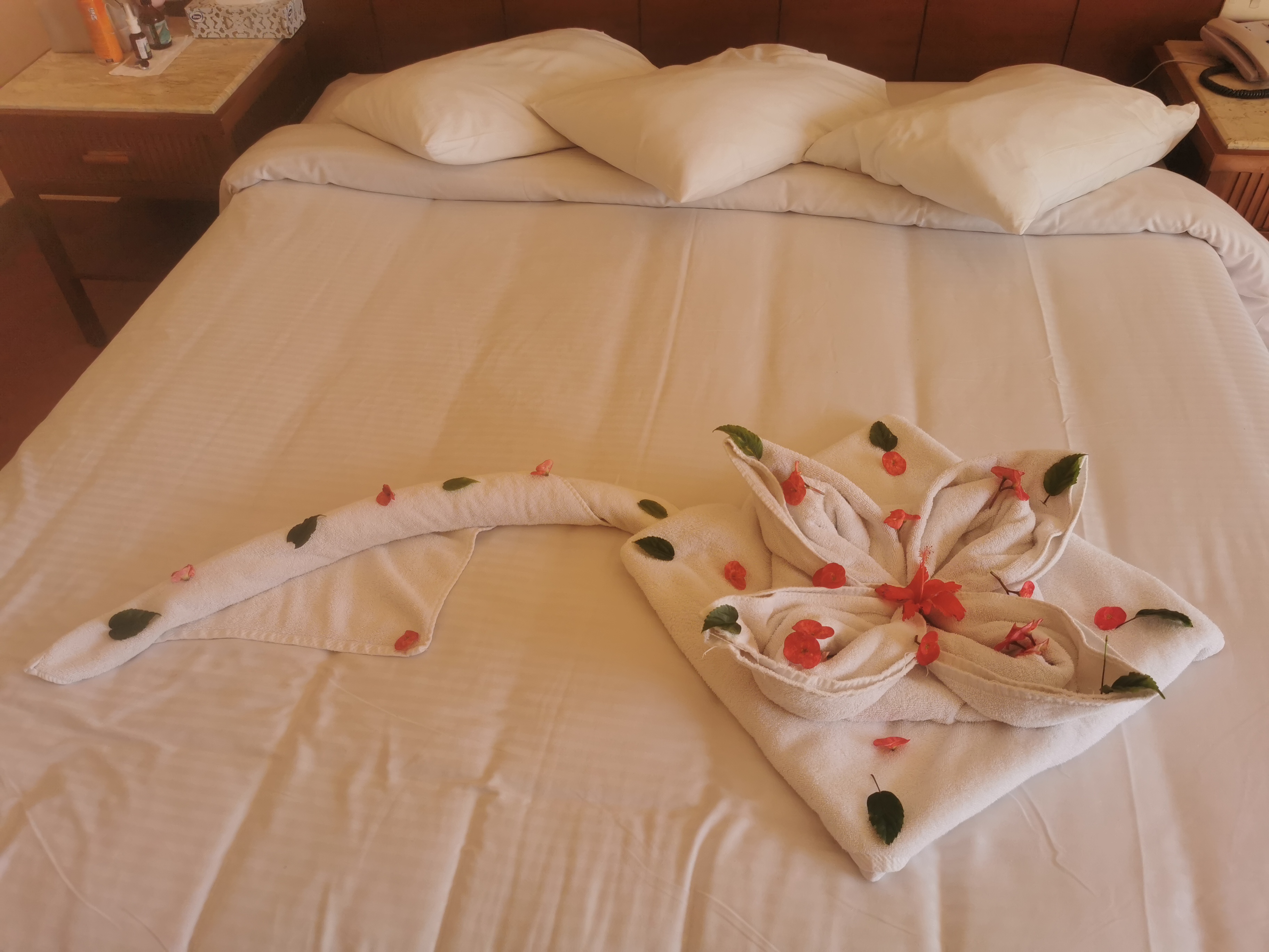 Фото Charmillion Gardens Aquapark Resort