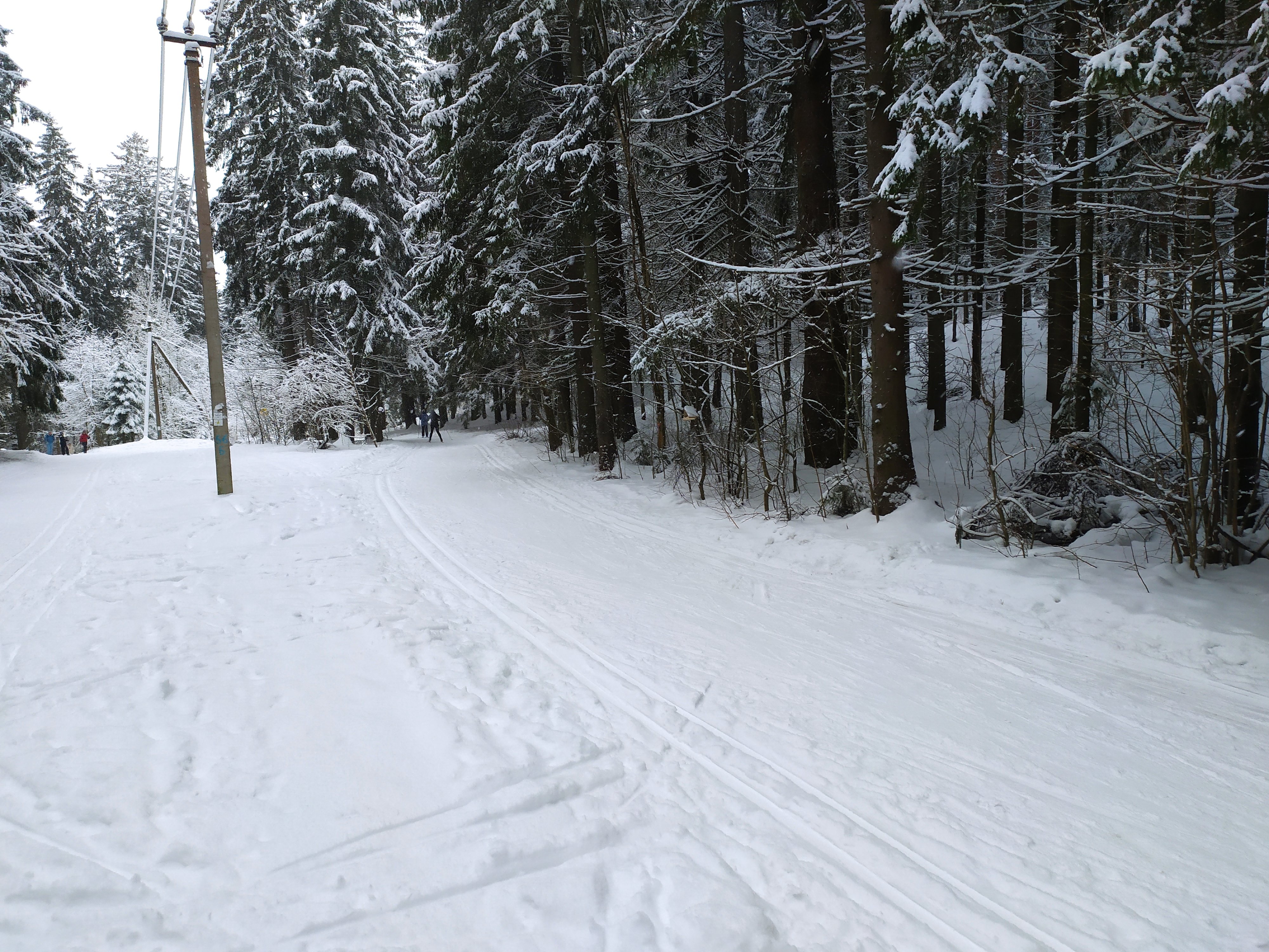 Фото Динамо