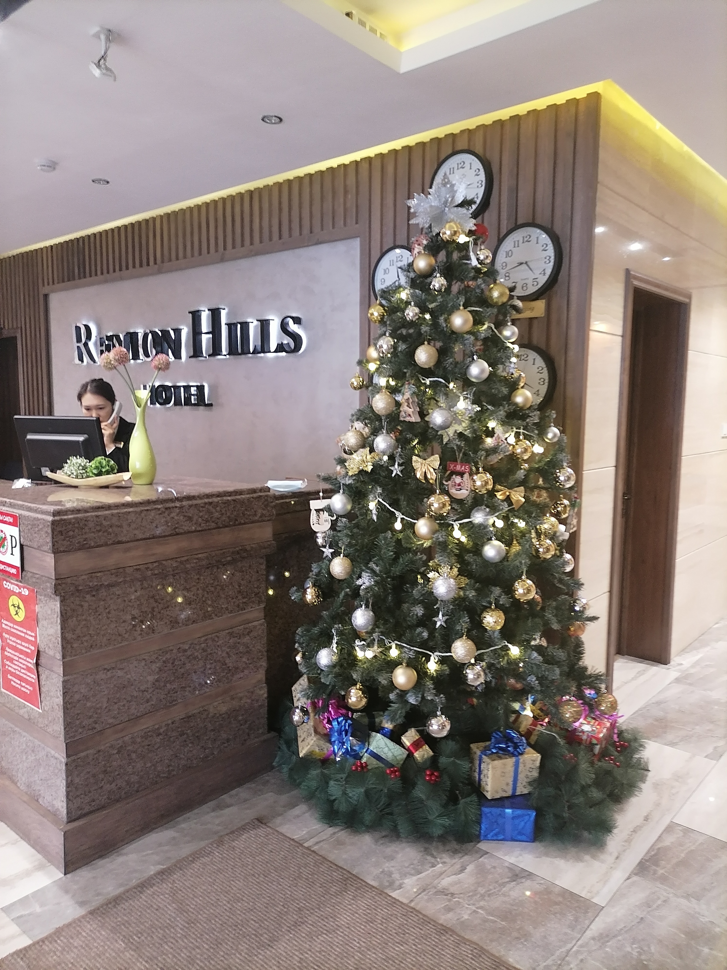 Фото Renion Hills Hotel