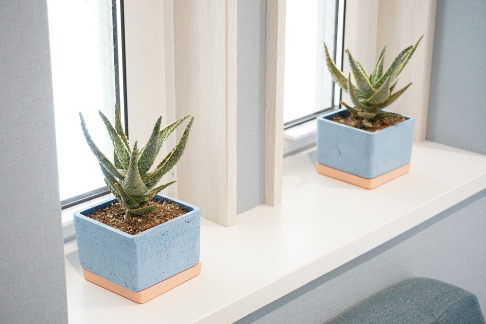 Фото The Gate Hostel Shonan Fujisawa