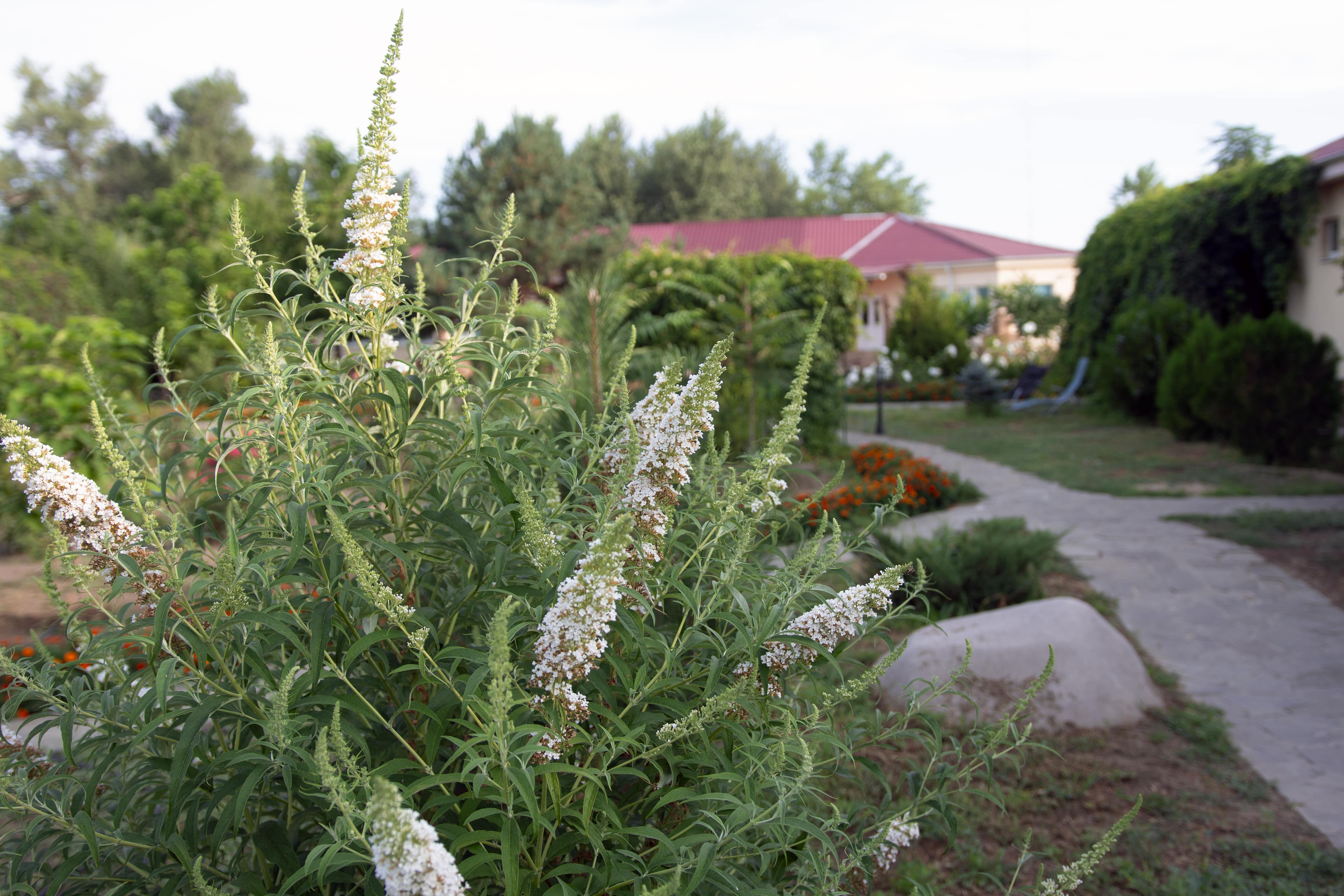 Фото Углянское