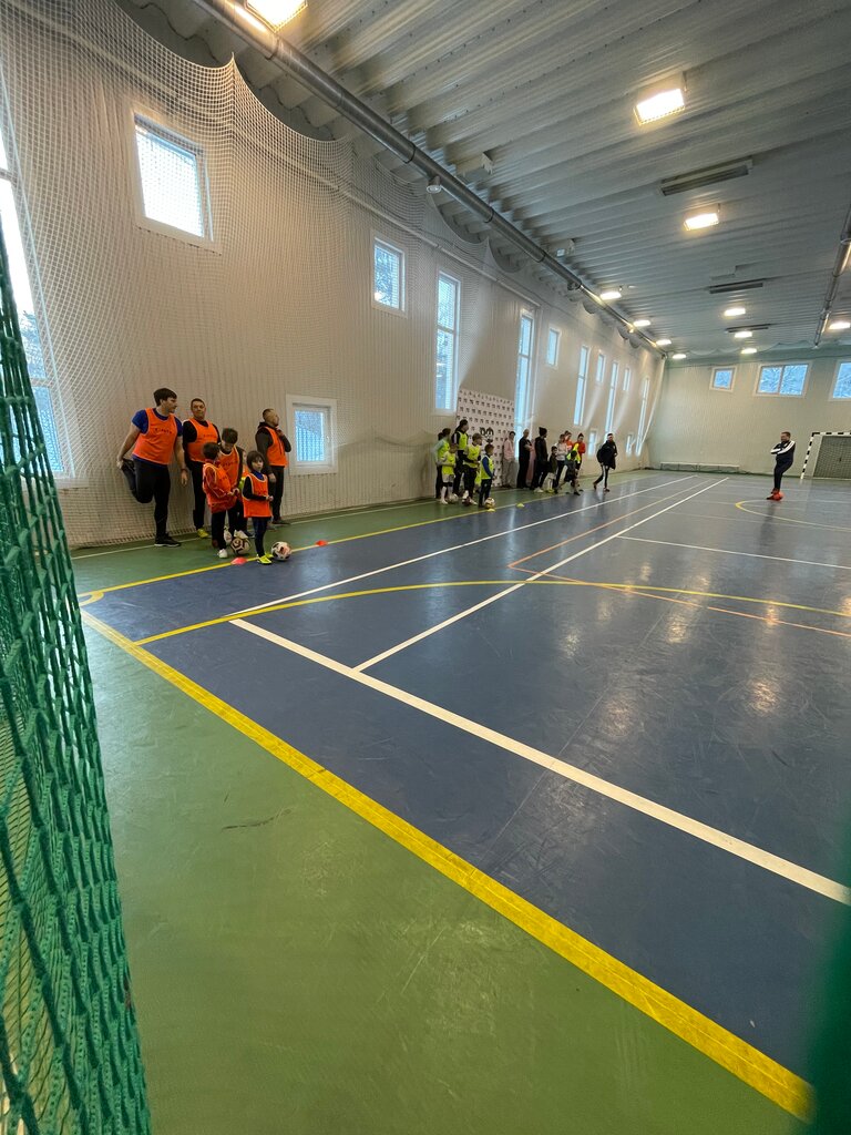 Sports center Sports and recreation complex Viking Bitsa, Moscow, photo