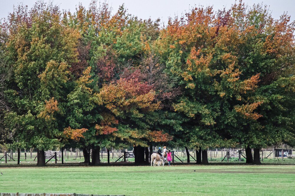 Фото Wyndham Garden Luján
