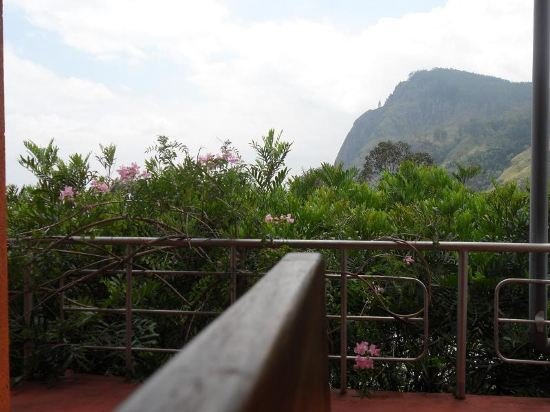 Фото Tea Garden Holiday Inn