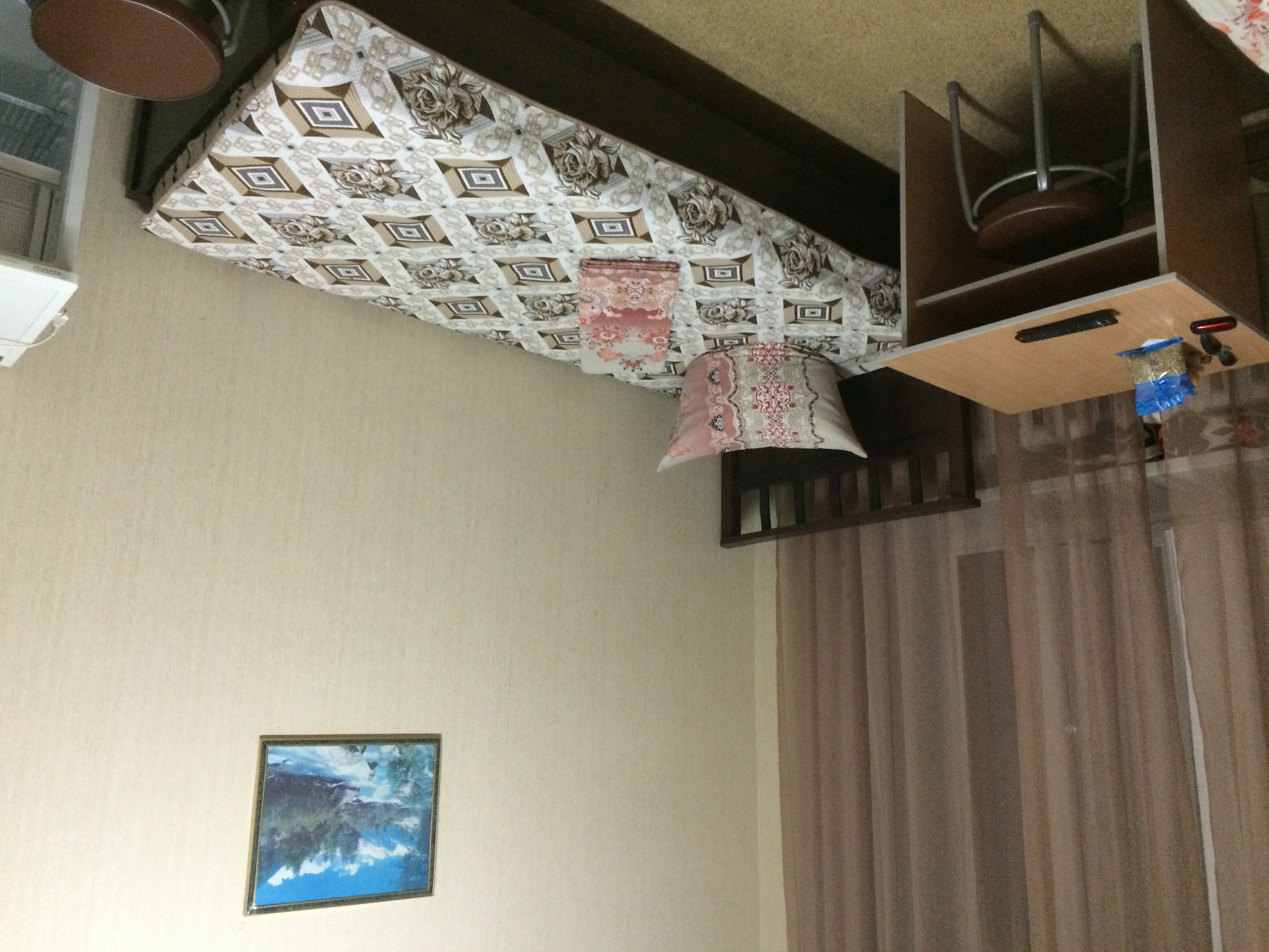 Фото Северянка