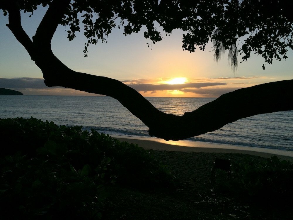 Hotel The Palms at Palm Cove, Palm Cove, photo