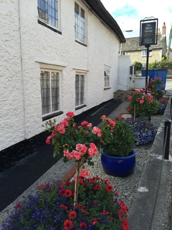 Фото The White Cottage B&b