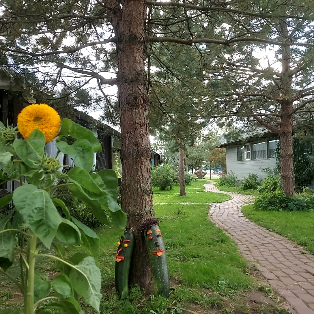 Фото Чернавинодом9