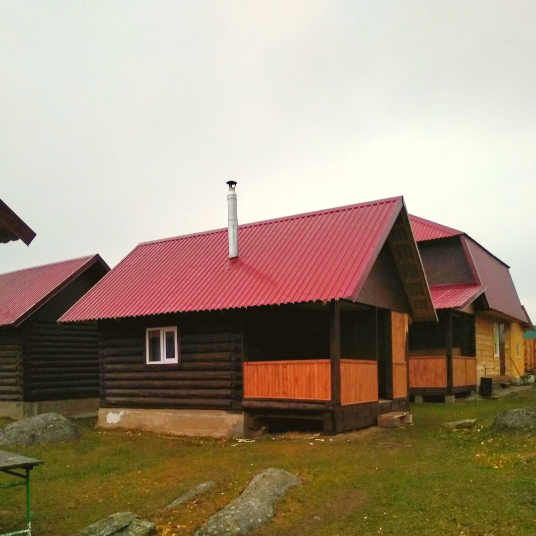 Фото Медная Сова