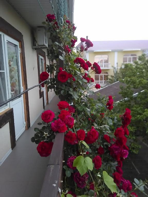 Фото Связь времен