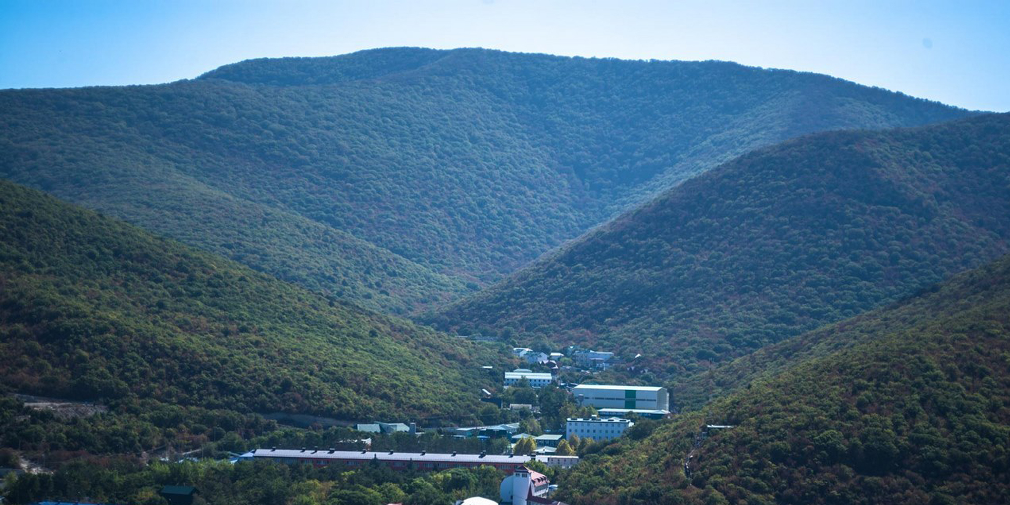 Фото Самшит