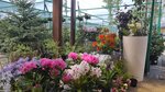 Райский сад (Ключевая ул., 11, посёлок Дзержинск), питомник растений в Иркутской области