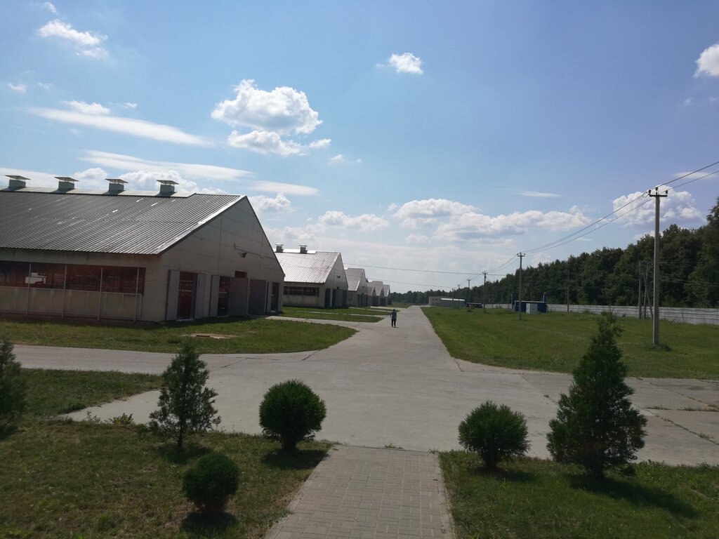 Животноводческое хозяйство Вакинское АГРО, Рязанская область, фото