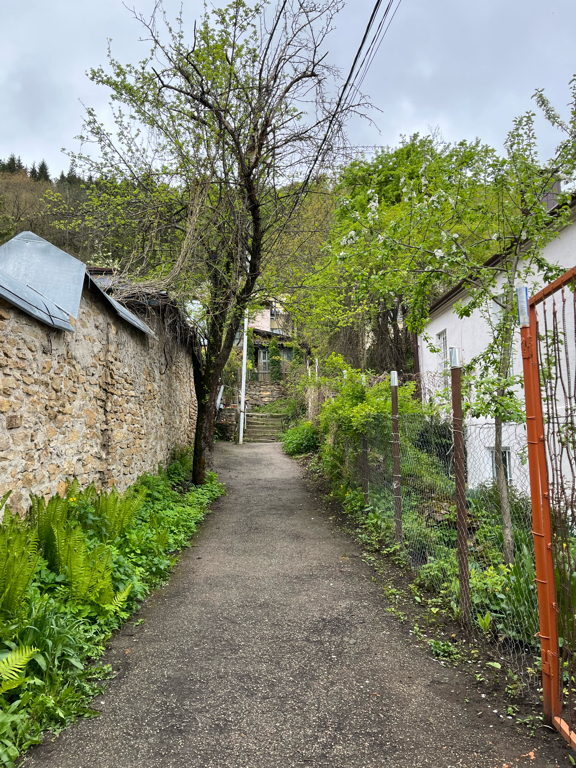 Фото Золотой Гусь