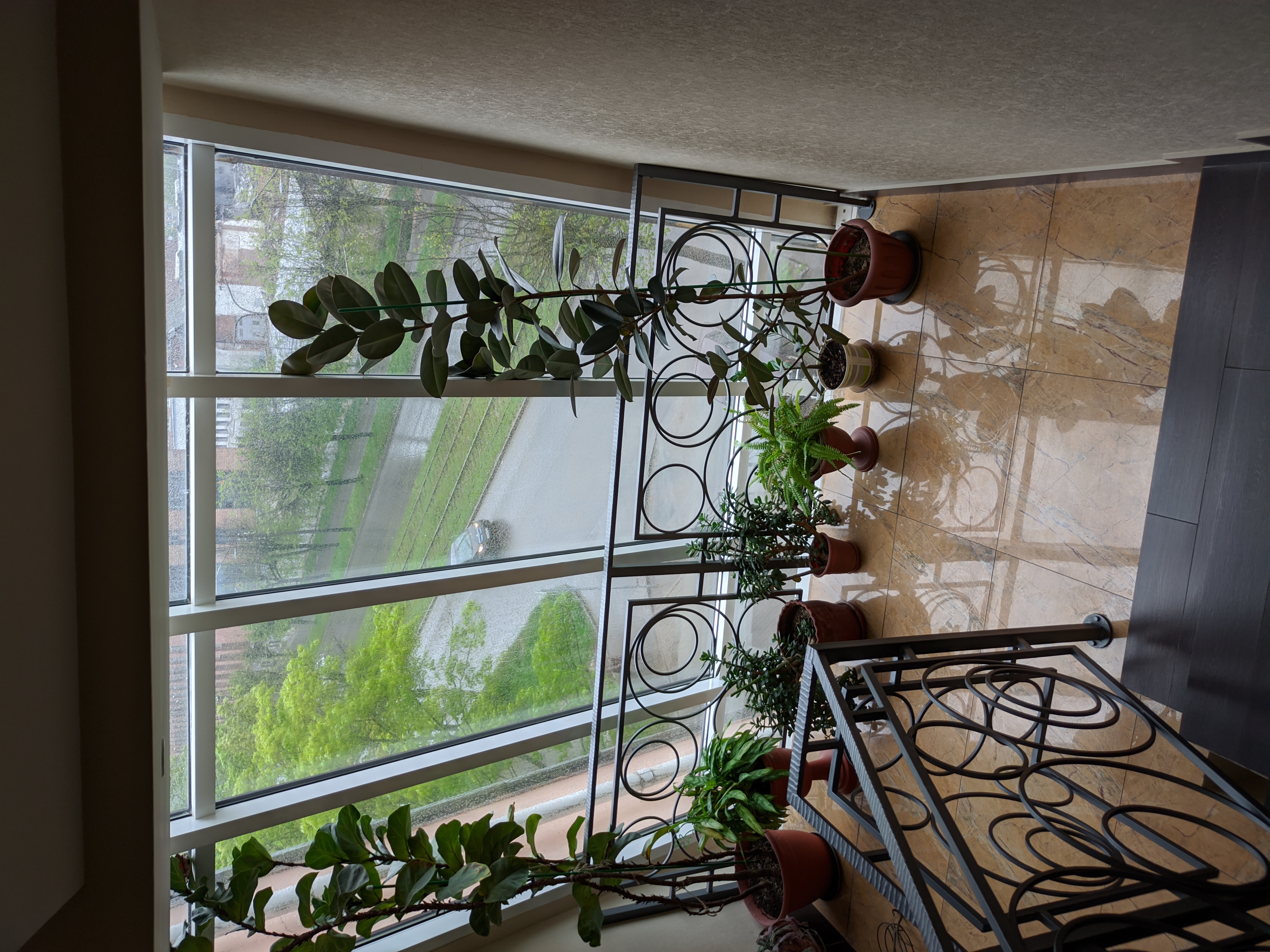 Фото Аврора