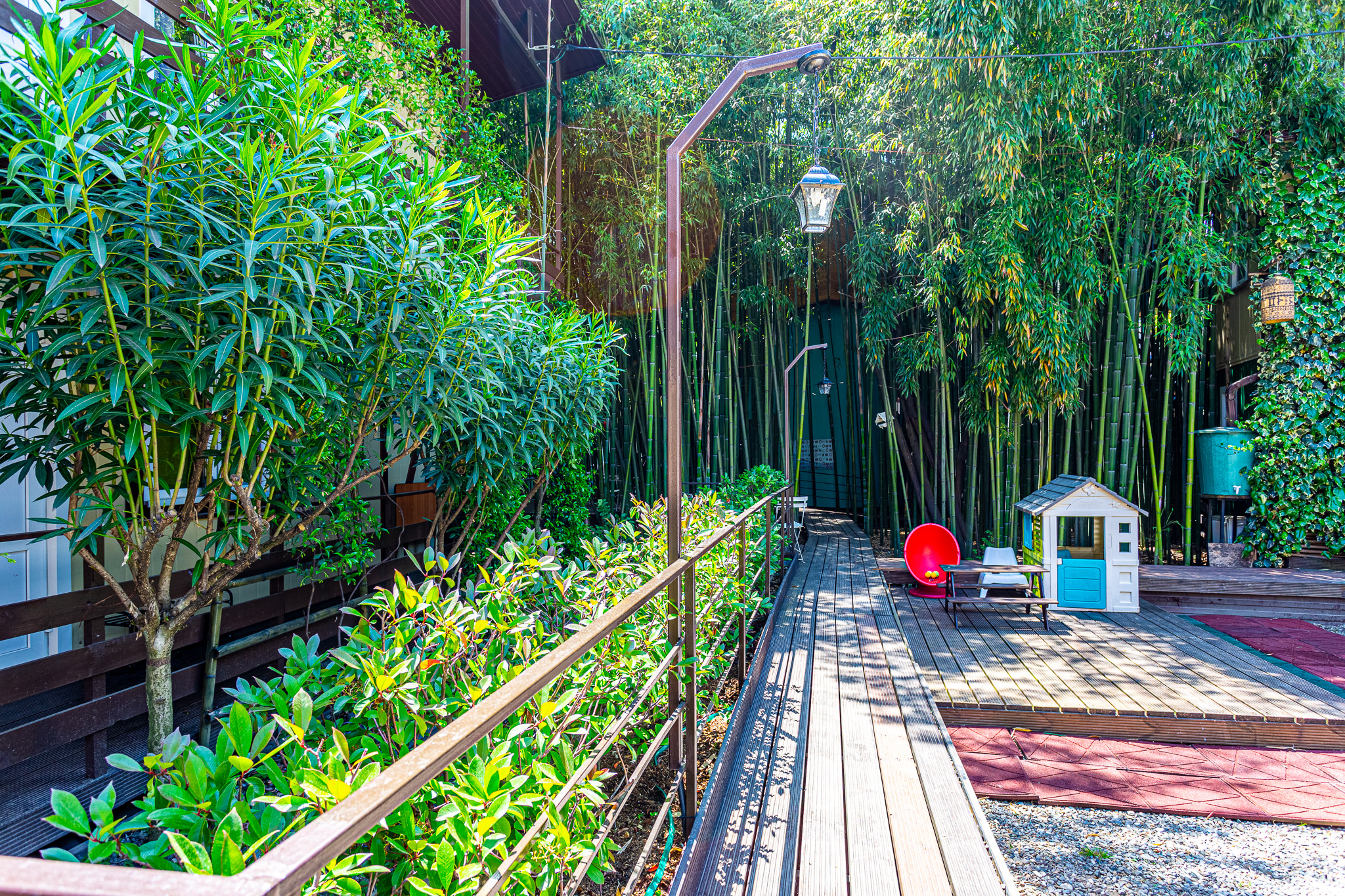 Фото Бамбук хутор