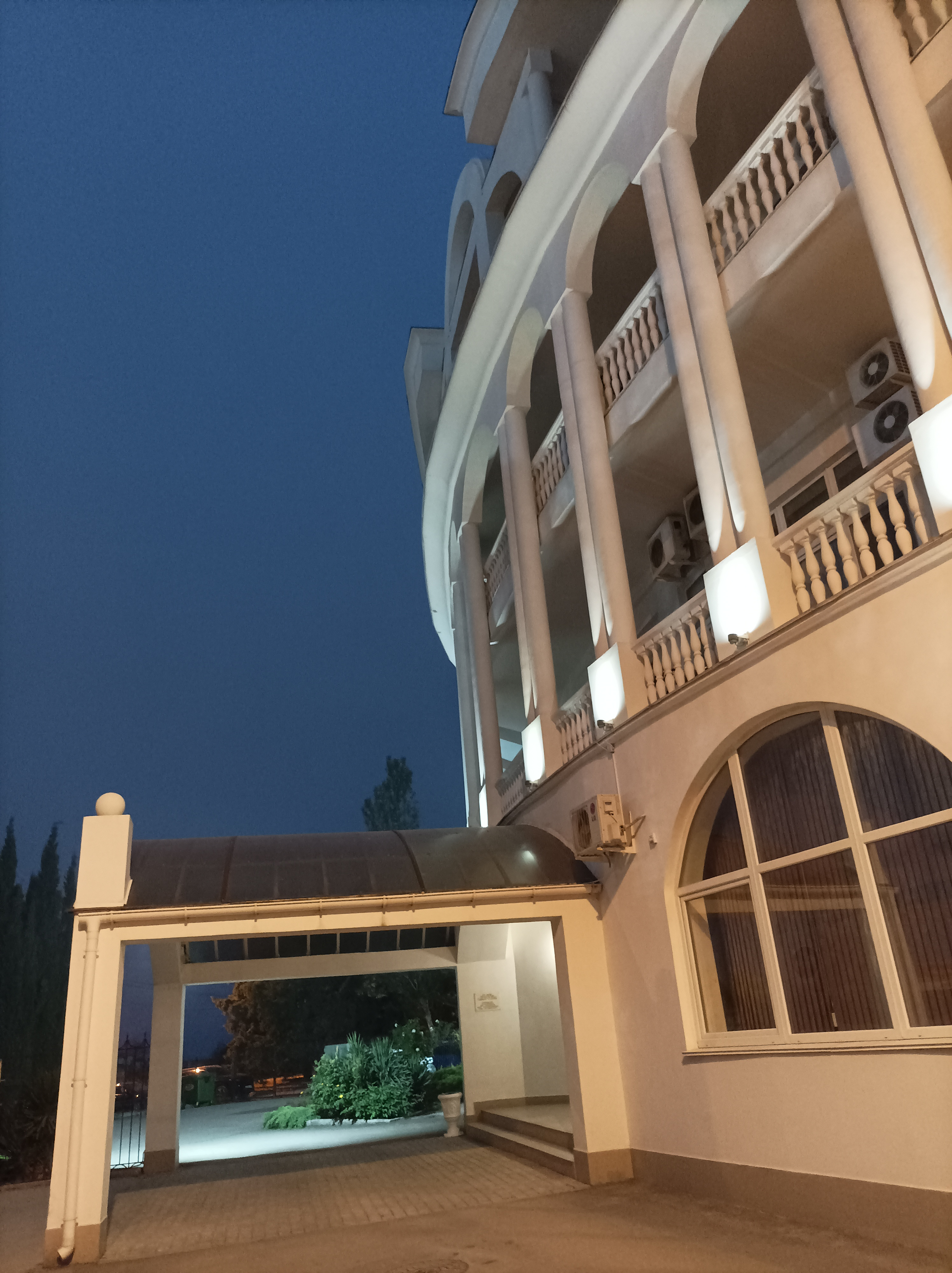 Фото Дельфин