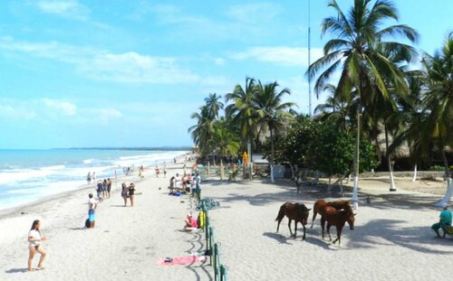 Гостиница Cabañas Palomino I