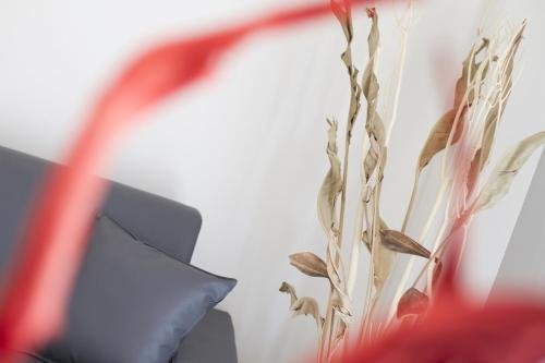 Фото Residence Armony Misano