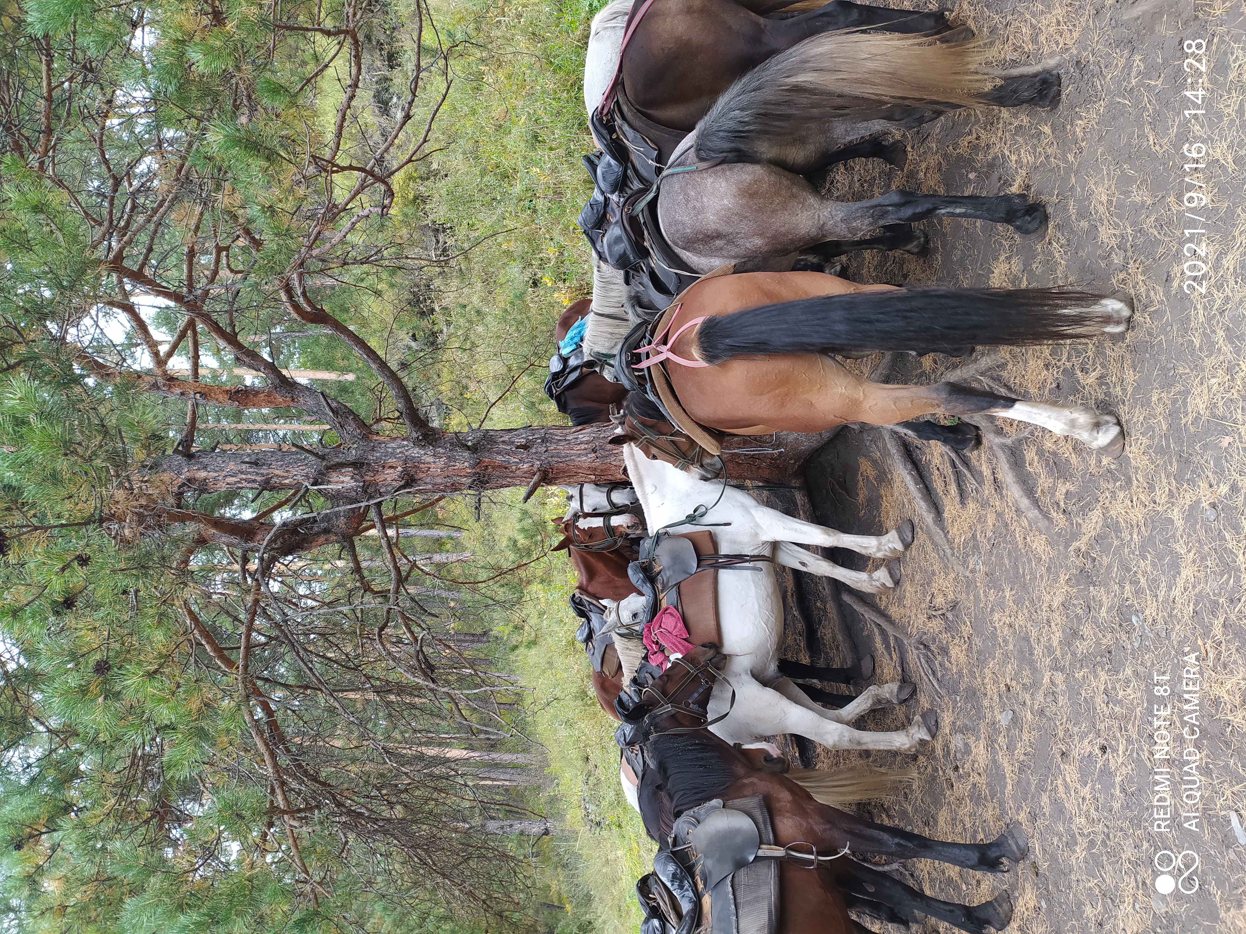 Фото Зеленые холмы