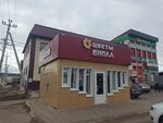 Фото Студия Н. О. Т. А. (Kommunisticheskaya ulitsa, 292), servicios de fotografía