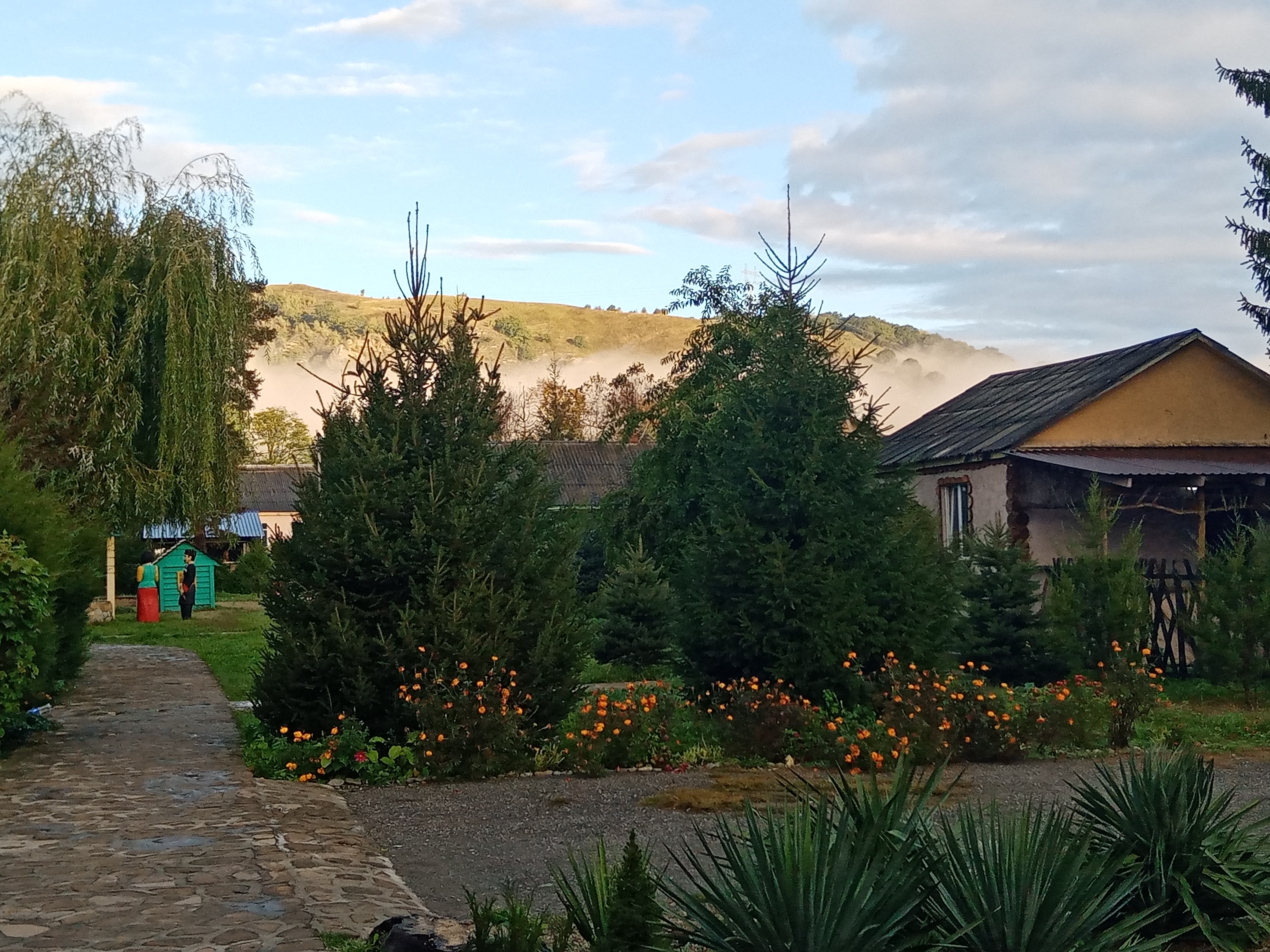 Фото Восход