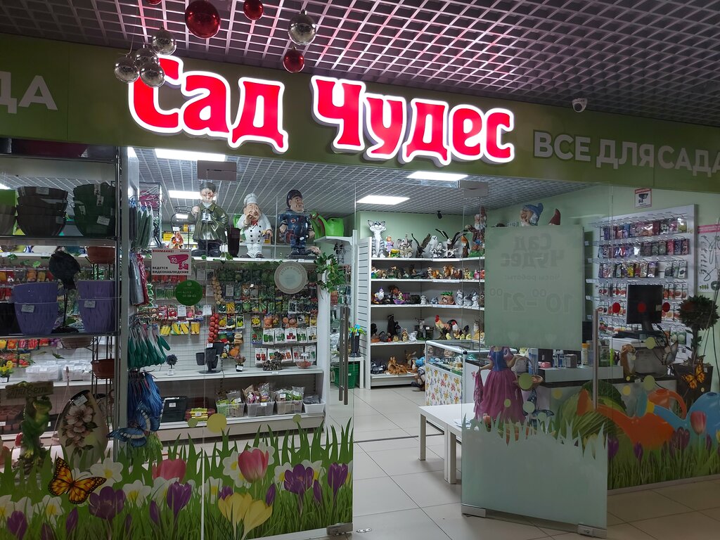 Торговый центр ТК Родной, Озёрск, фото