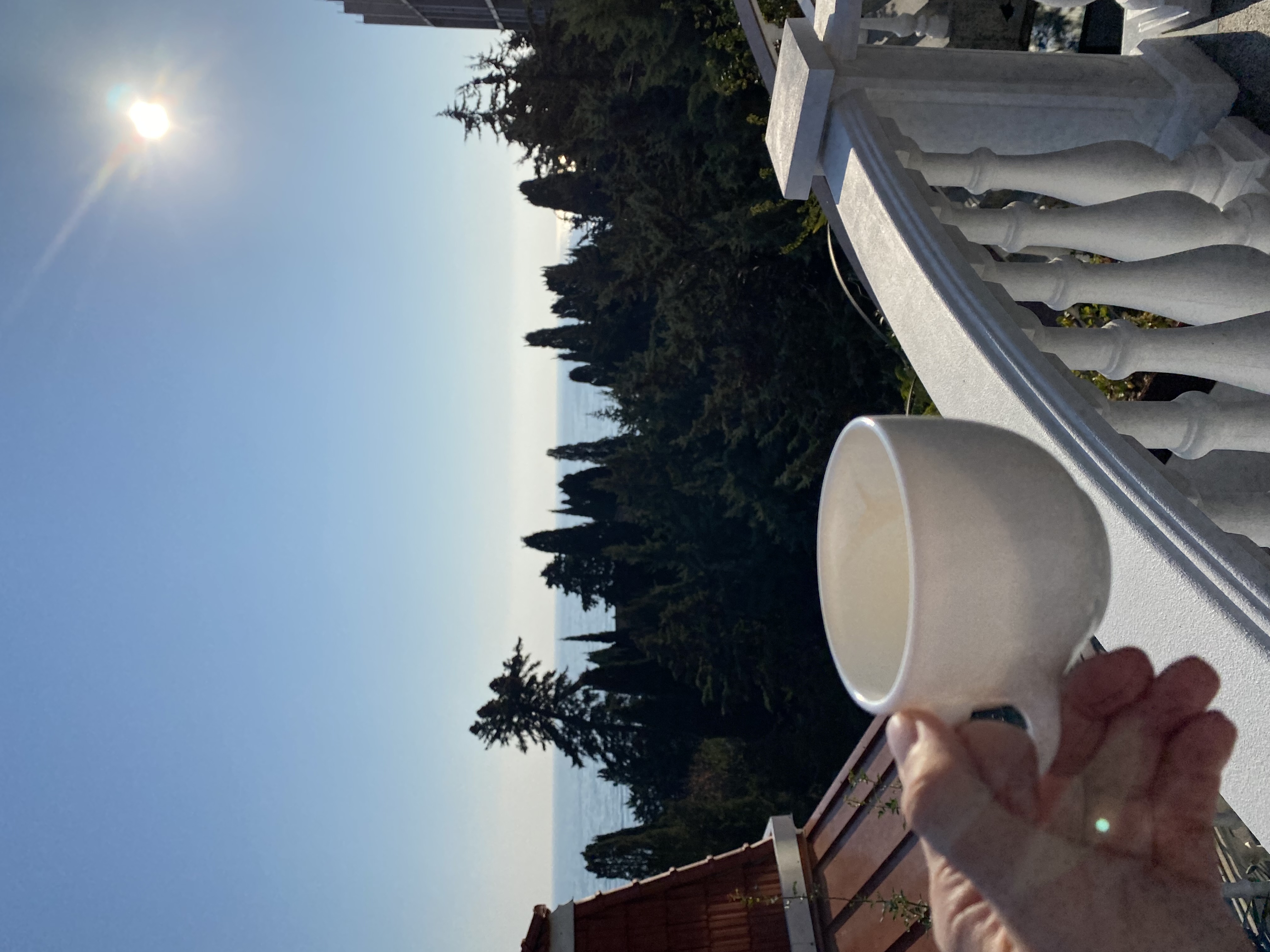 Фото Гранатовое Поместье