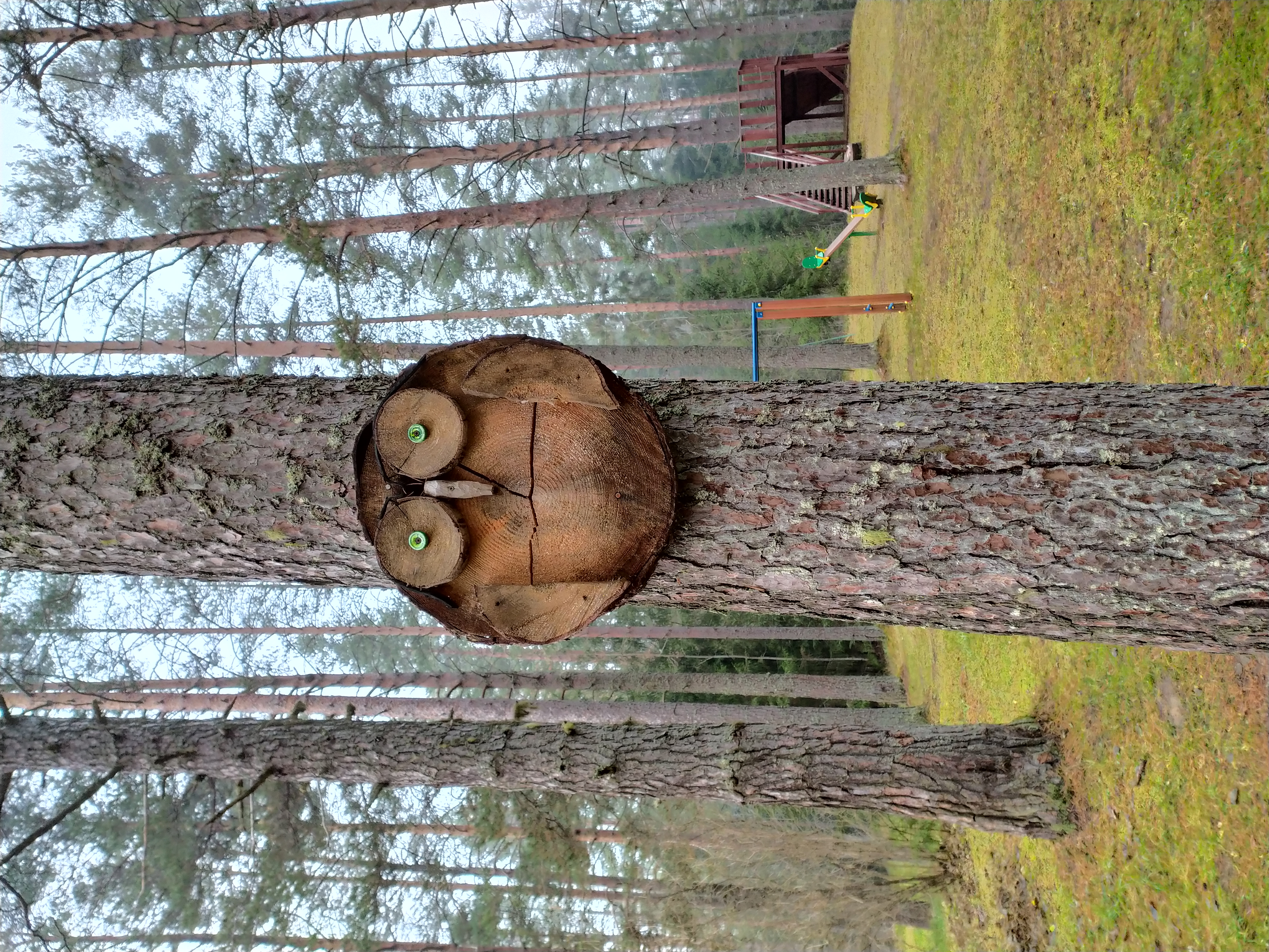 Фото Пансионат Северное сияние
