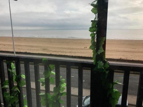 Фото The Music Fable