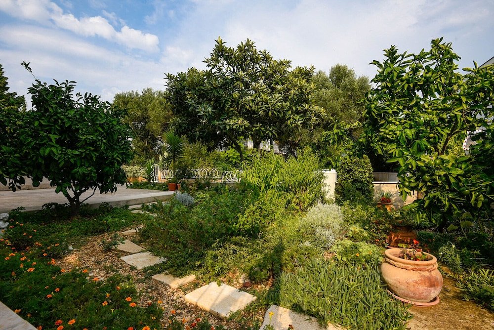 Фото Apartments Trstenica