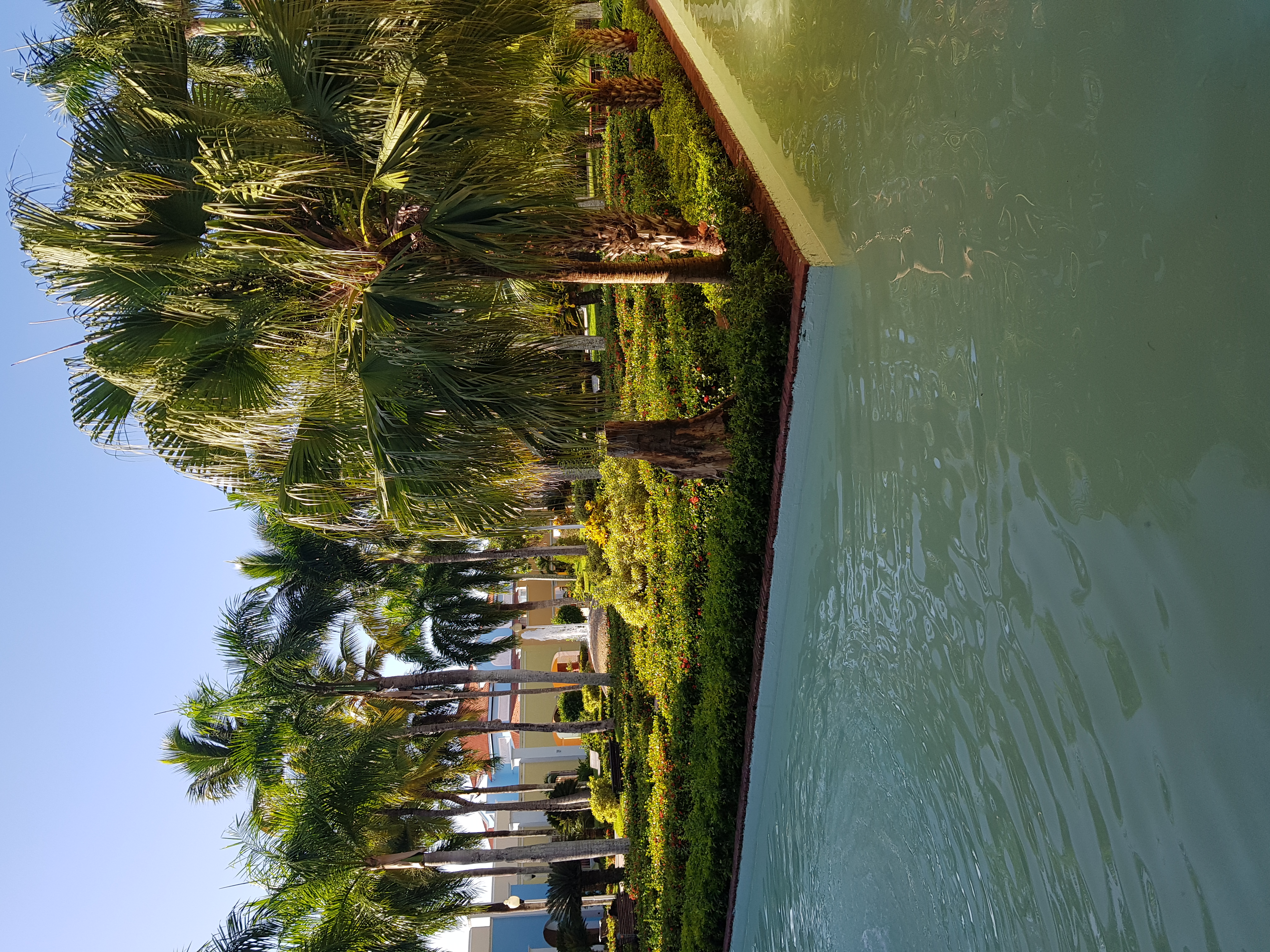 Фото Iberostar Selection Hacienda Dominicus