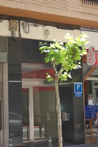 Hotel Pensión Cinco Villas, Logroño, photo