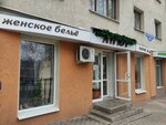Alyur (Nikolaya Chumichova Street, 48), lingerie and swimwear shop
