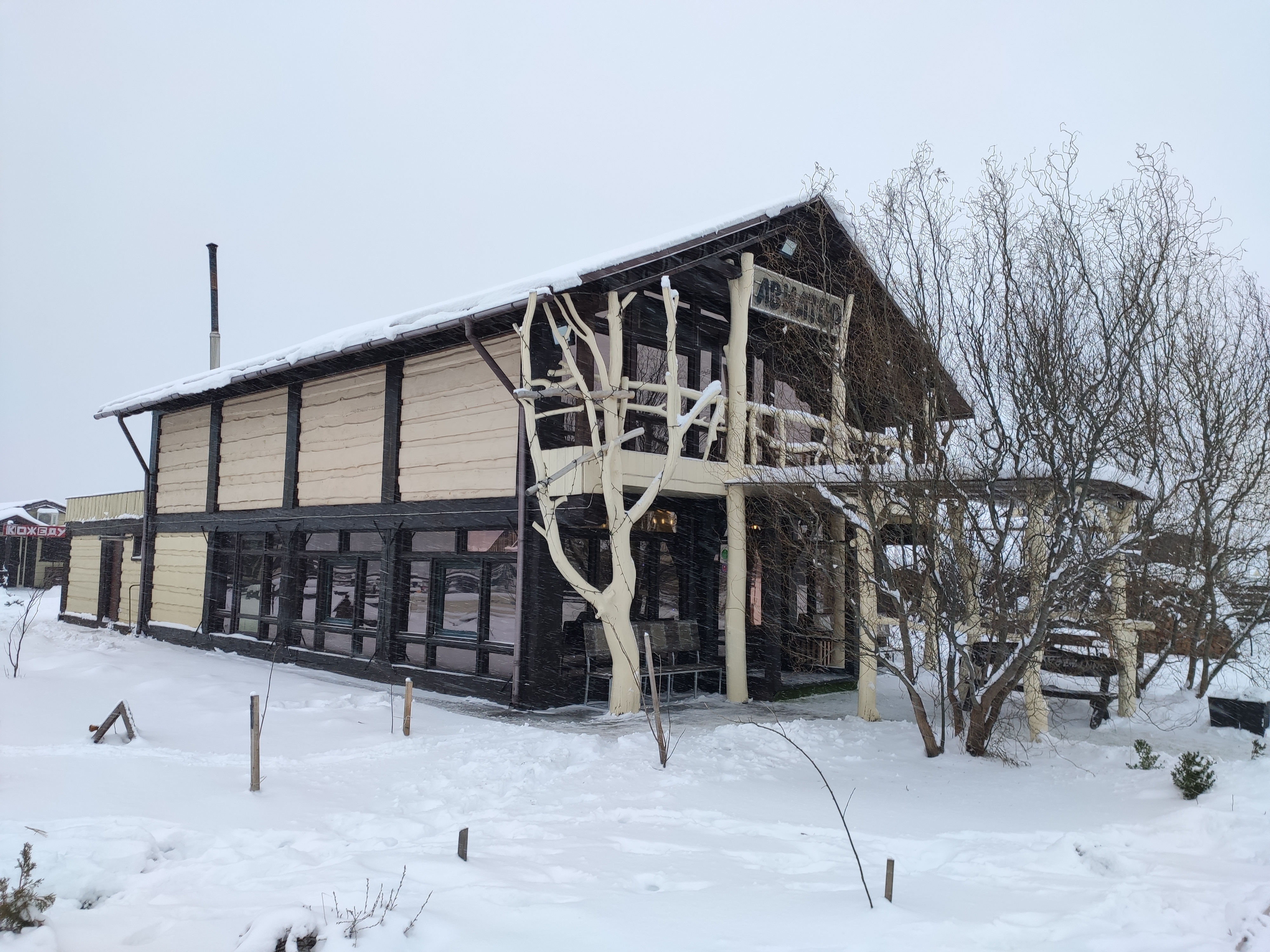 Фото Авиатор